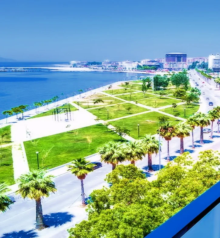 banner-img1-800x951-1 (1)